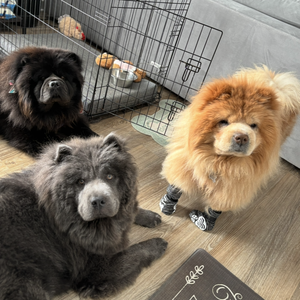 Fundraising Page: Eva Osilla